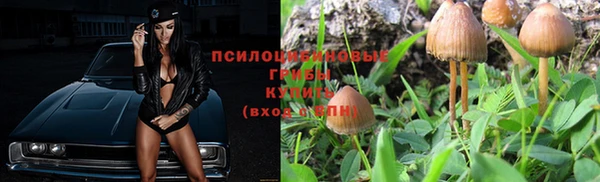метадон Гусь-Хрустальный