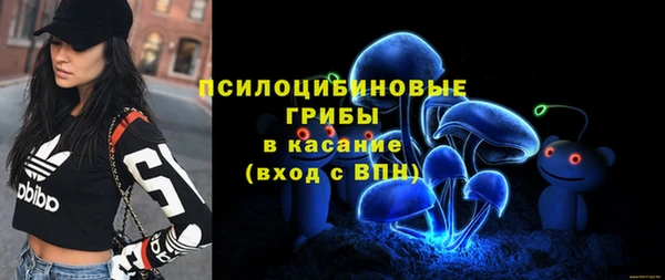альфа пвп Гусиноозёрск