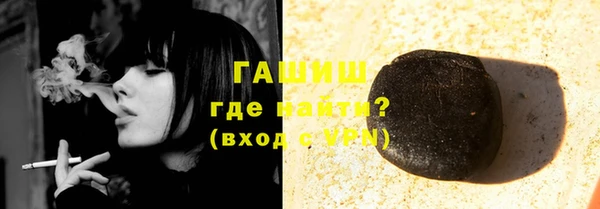 тгк Гусев