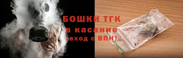 тгк Гусев