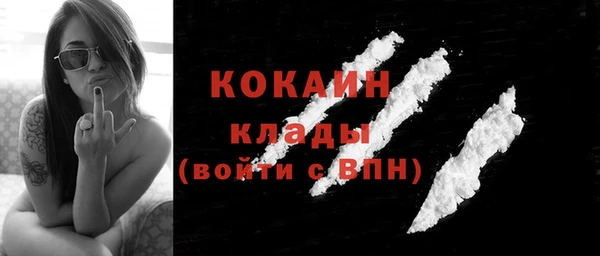 тгк Гусев