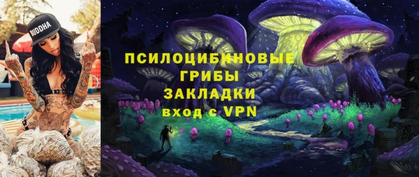 a pvp Дмитровск
