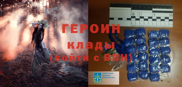 сатива Дмитриев