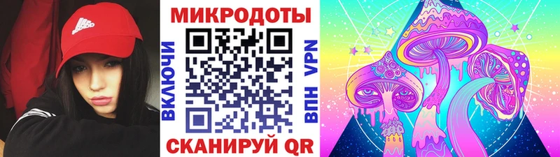 Псилоцибиновые грибы мицелий  kraken ССЫЛКА  Добрянка 